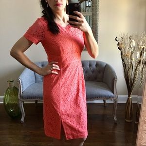 Calvin Klein Short Sleeve Lace Dress NWT